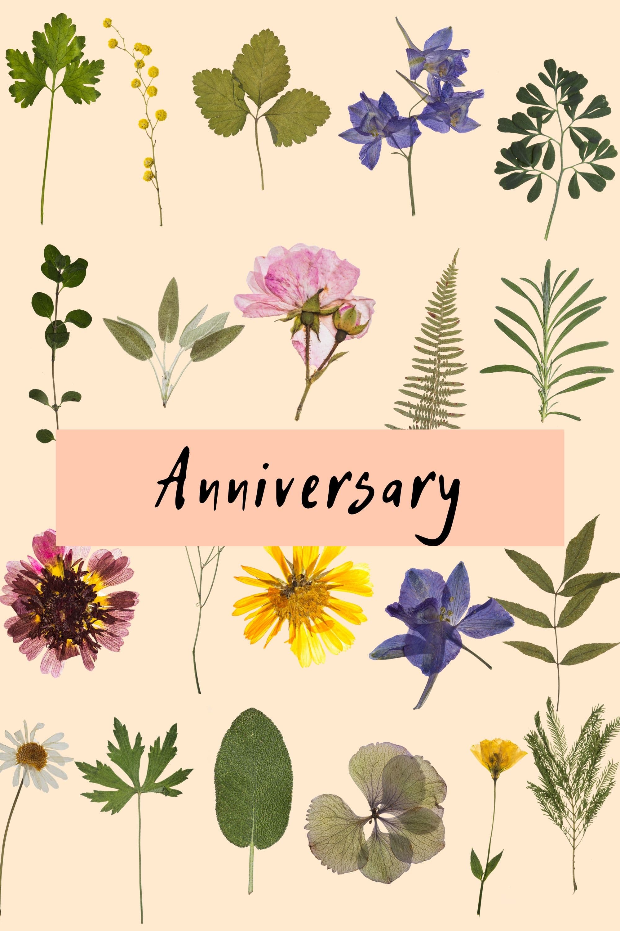 Постер Anniversary
